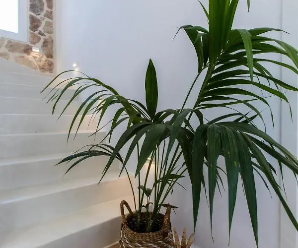 别墅 Arsenis Luxury