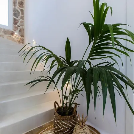 Villa Arsenis Luxury